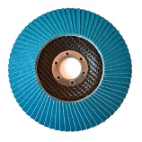 Flap Discs